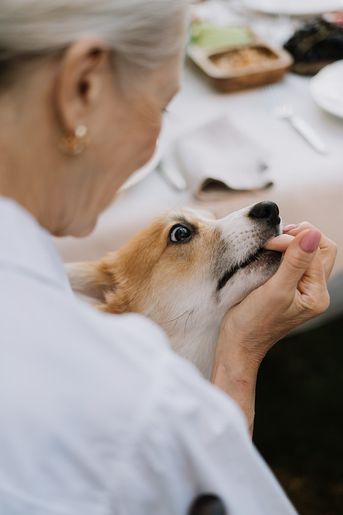 average hospital bill for dog bite